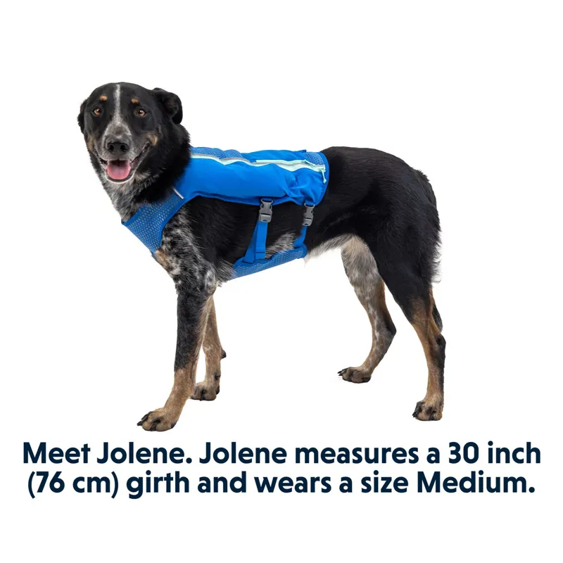 Ruffwear Trail Runner Running Vest in Blue Pool - Small -9